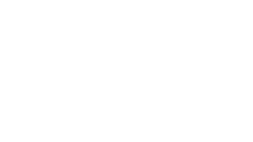 logo-11